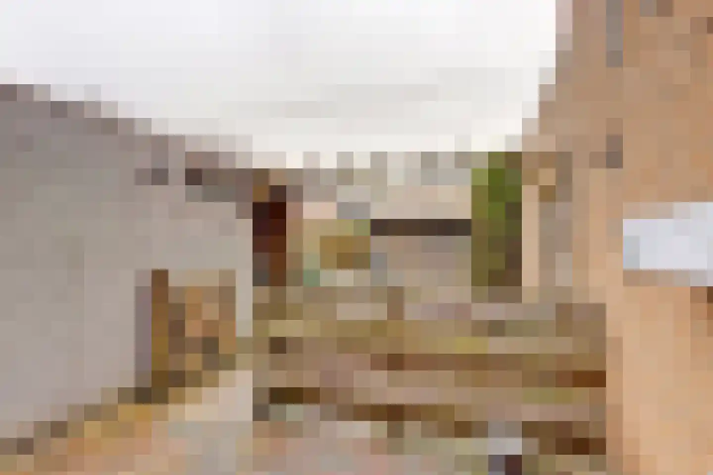 Wilgenlaan 5 Emmer-Compascuum thumbnail 30