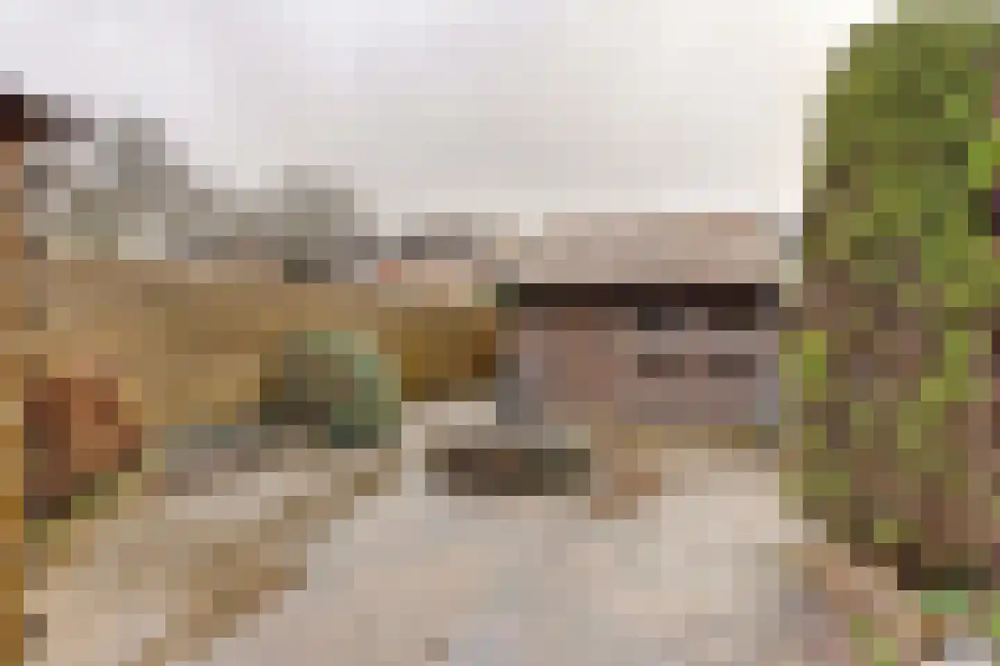 Wilgenlaan 5 Emmer-Compascuum thumbnail 31