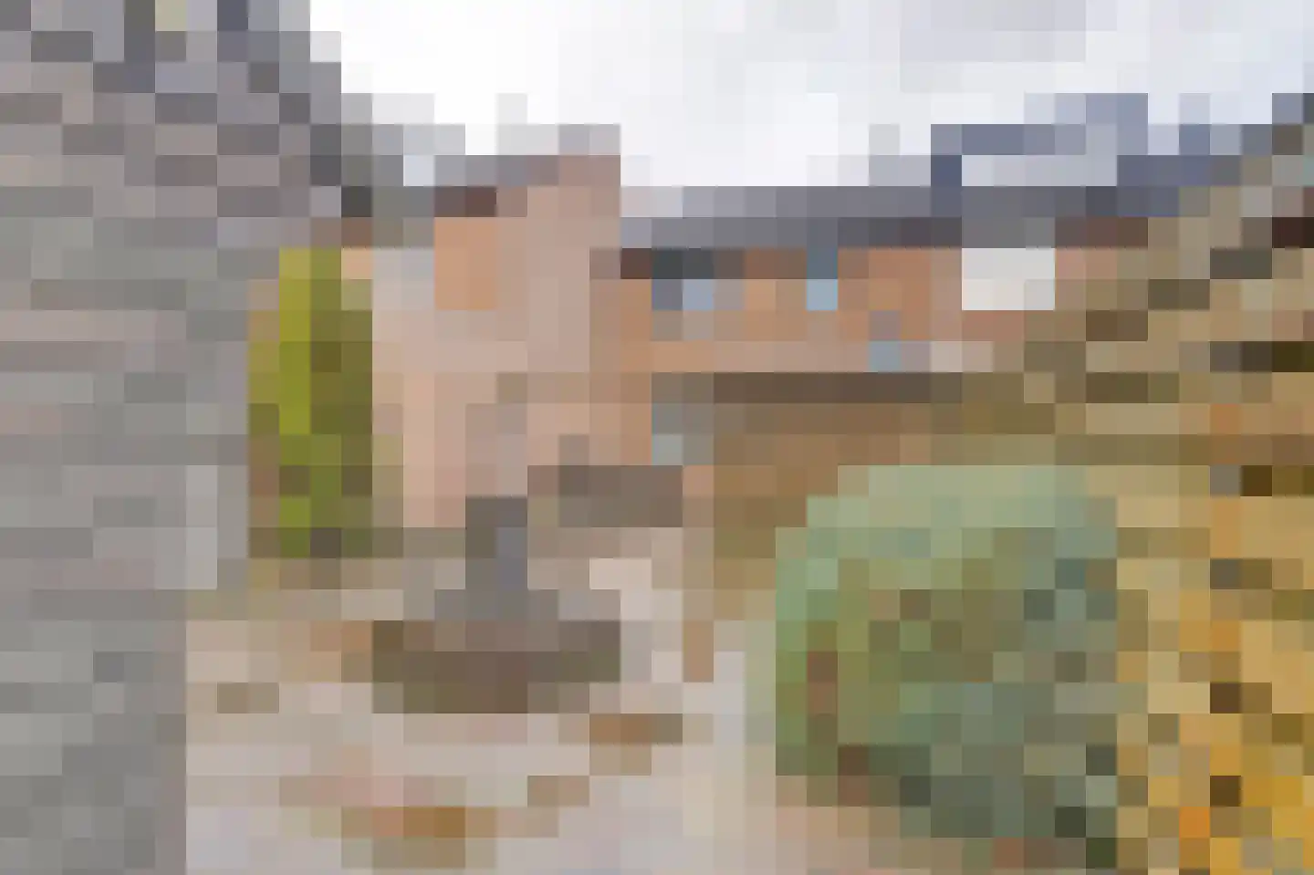 Wilgenlaan 5 Emmer-Compascuum thumbnail 33