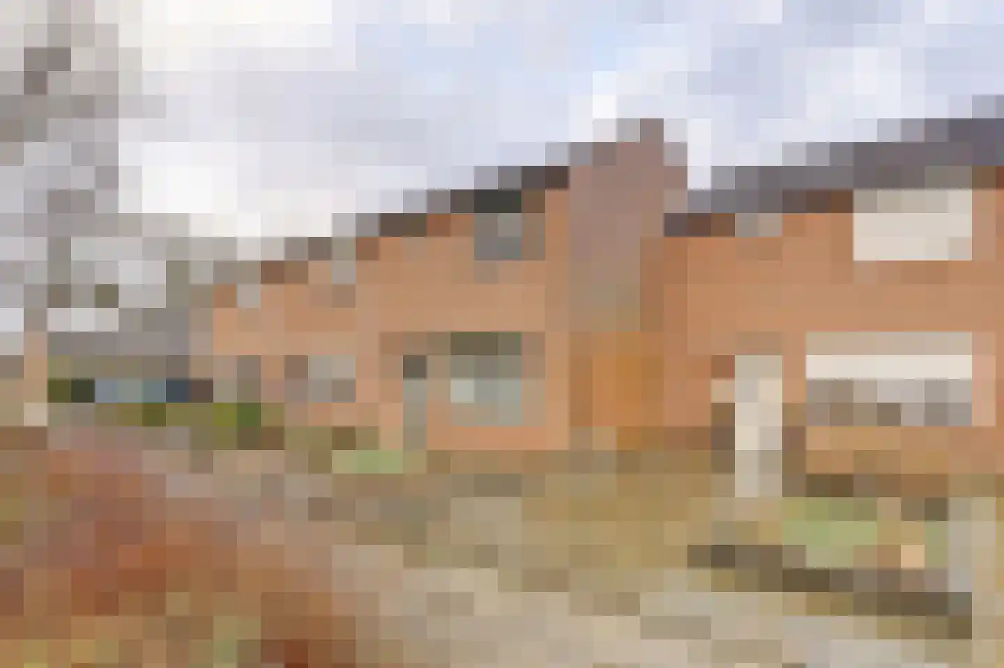 Wilgenlaan 5 Emmer-Compascuum thumbnail 34