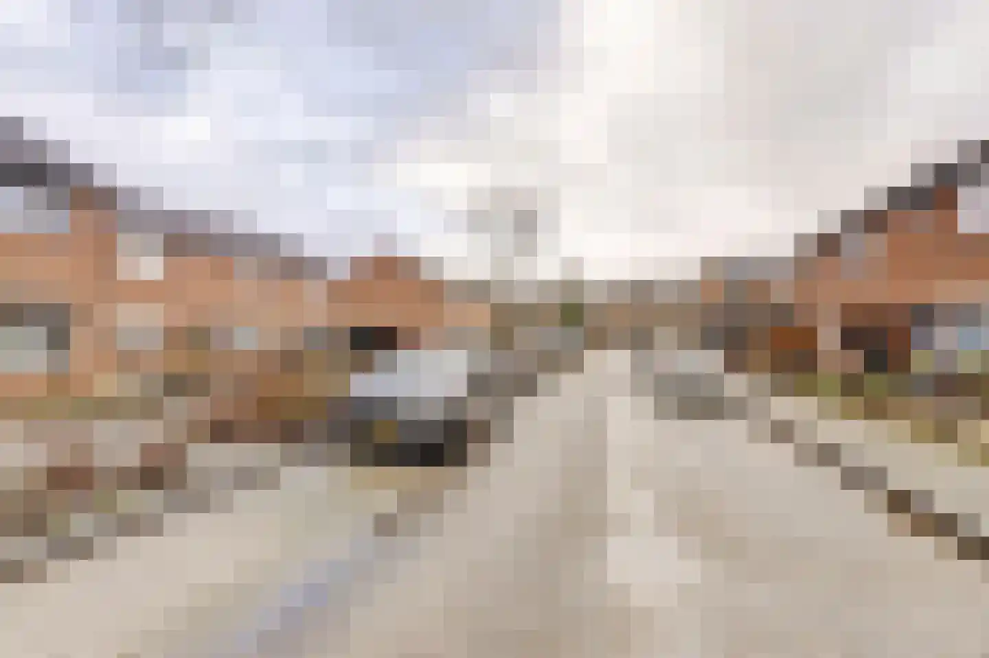 Wilgenlaan 5 Emmer-Compascuum thumbnail 36