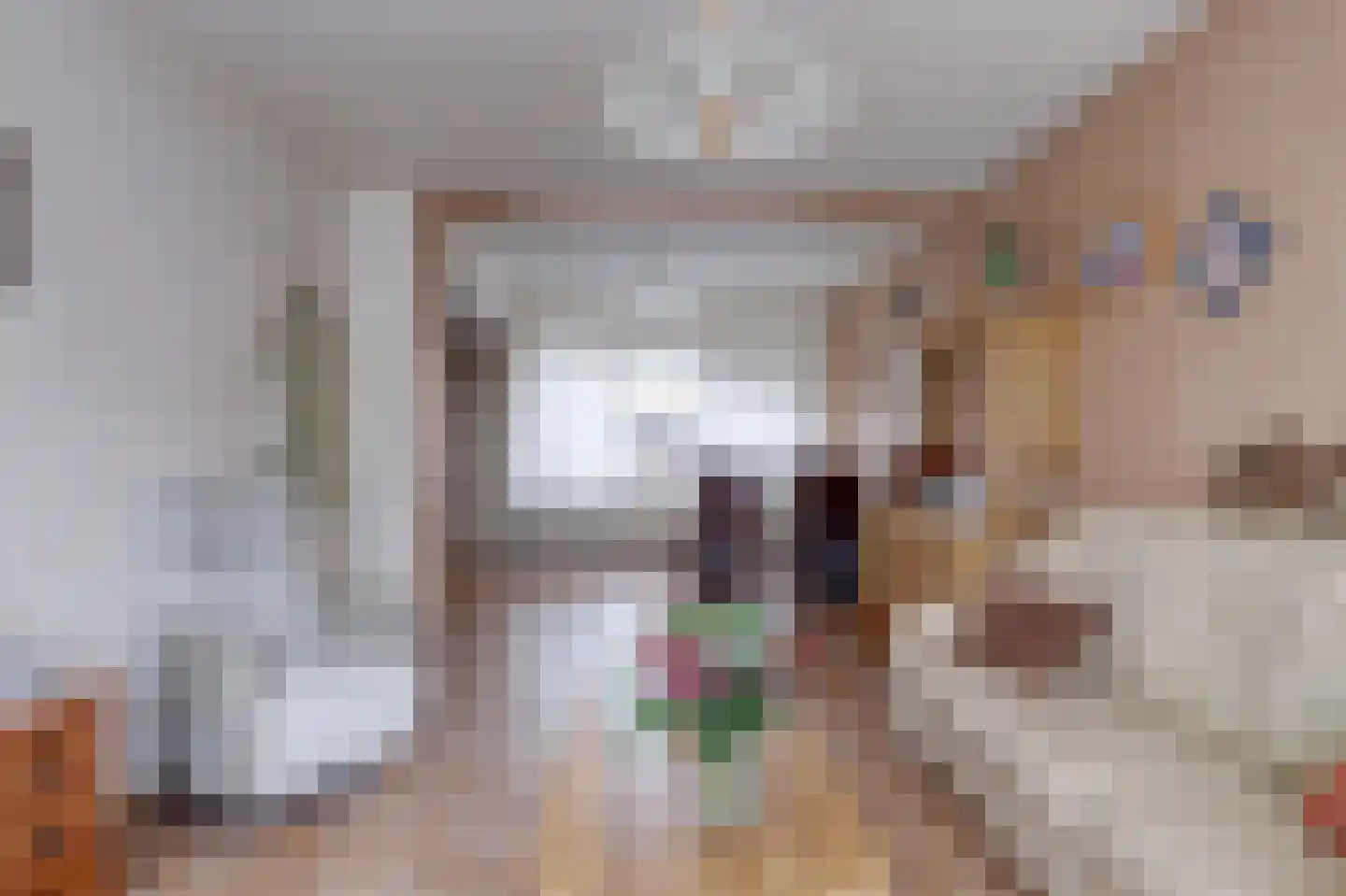Wilgenlaan 5 Emmer-Compascuum thumbnail 4