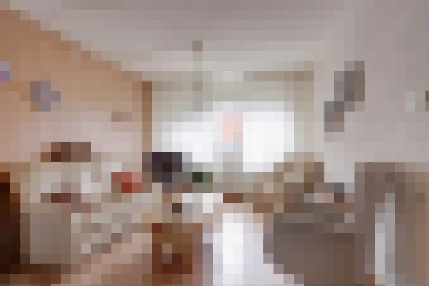 Wilgenlaan 5 Emmer-Compascuum thumbnail 5