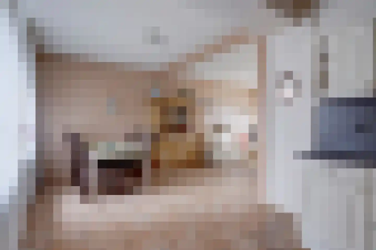 Wilgenlaan 5 Emmer-Compascuum thumbnail 7