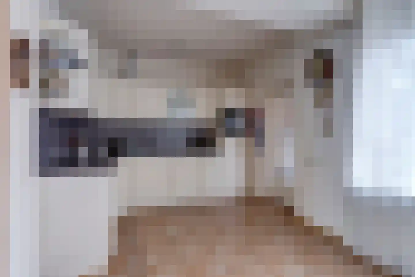 Wilgenlaan 5 Emmer-Compascuum thumbnail 8