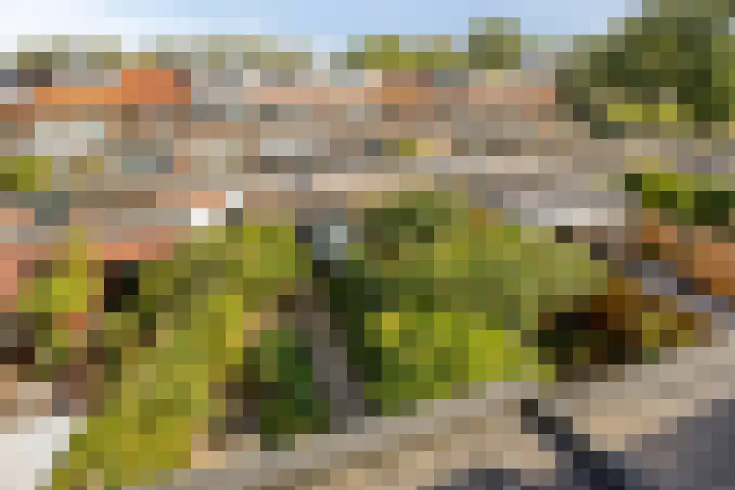 Wilgenlaan 53 Arnhem thumbnail 27