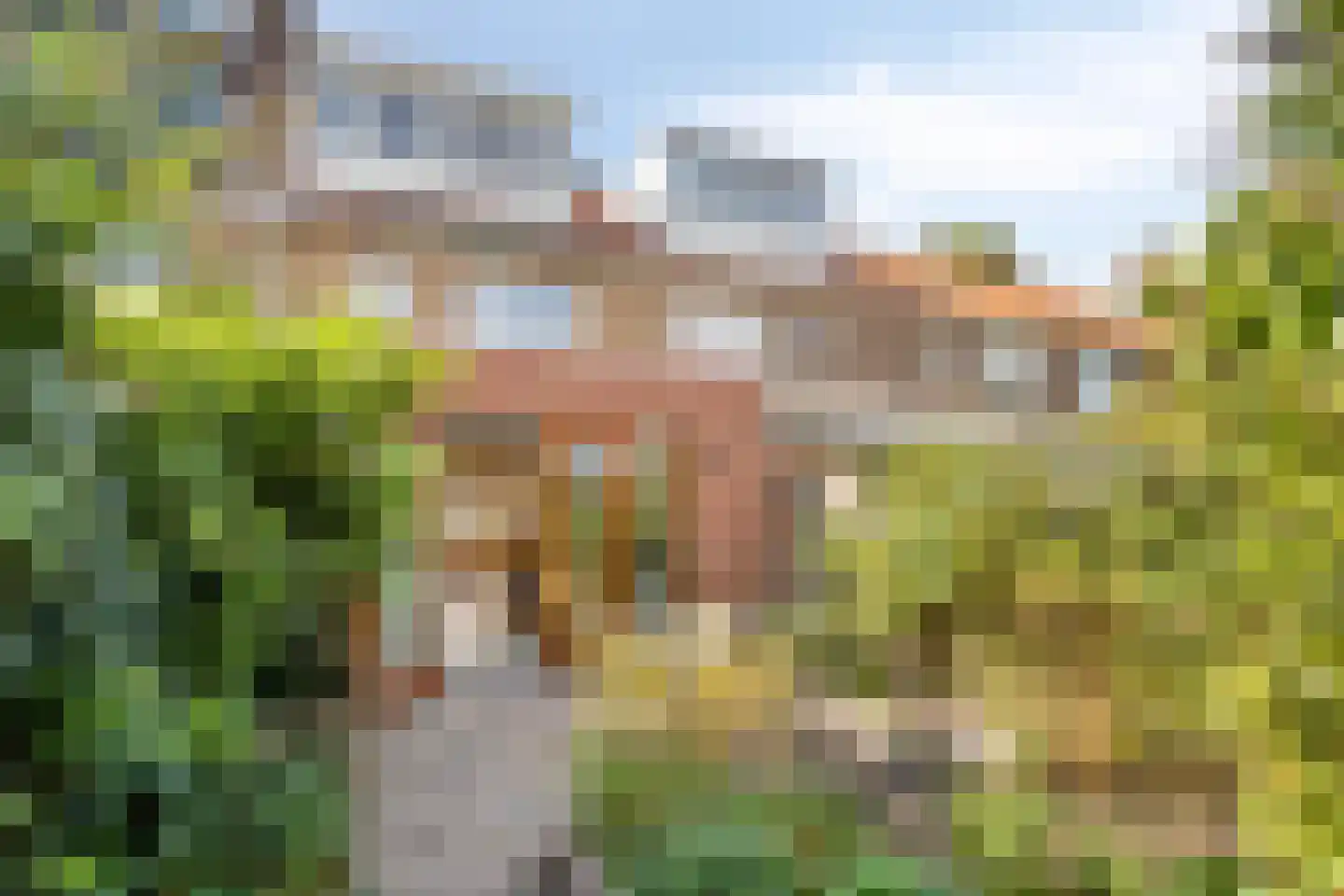 Wilgenlaan 53 Arnhem thumbnail 28