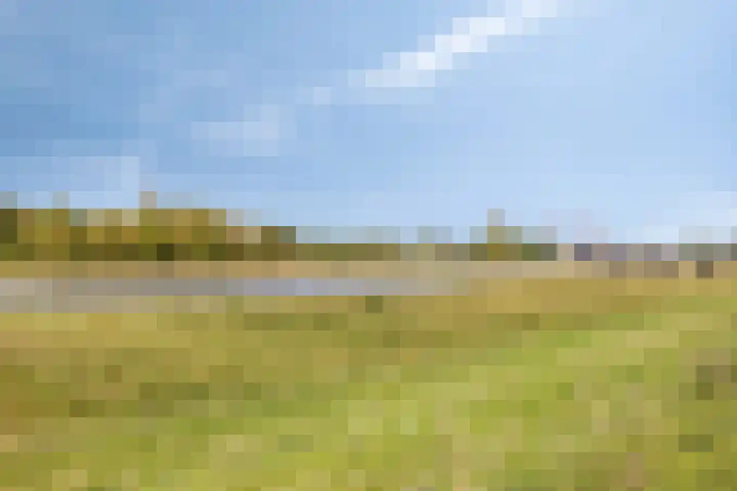 Wilgenlaan 53 Arnhem thumbnail 31