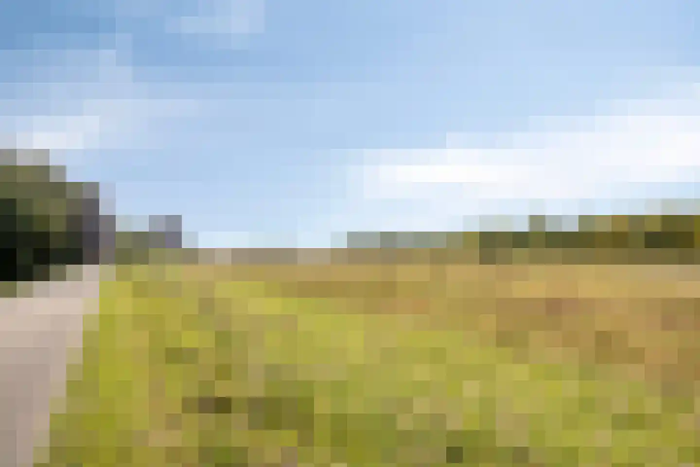 Wilgenlaan 53 Arnhem thumbnail 32