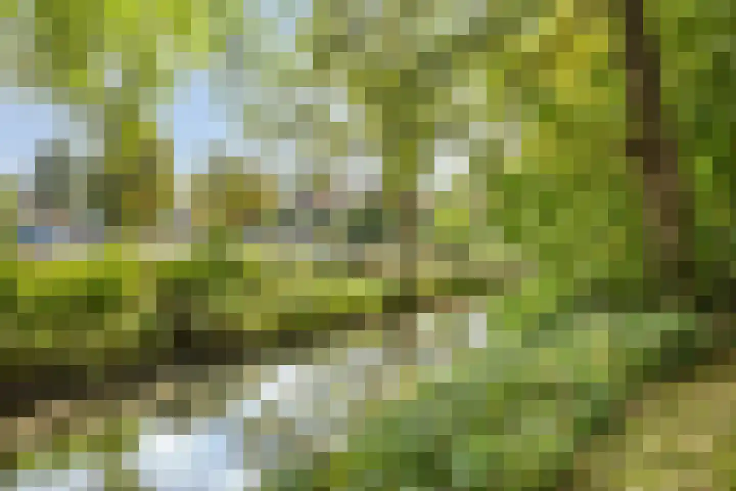 Wilgenlaan 53 Arnhem thumbnail 33