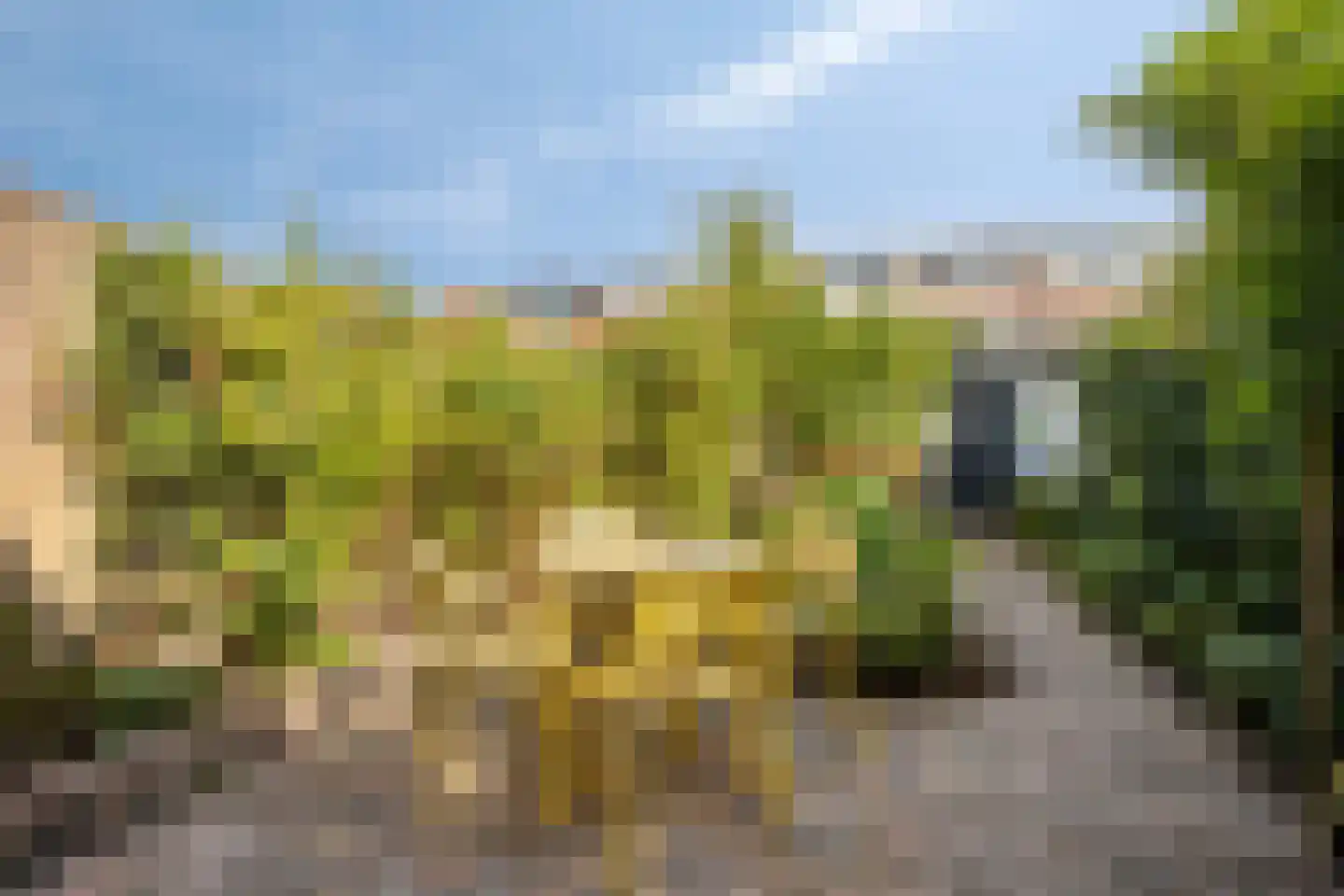 Wilgenlaan 53 Arnhem thumbnail 5