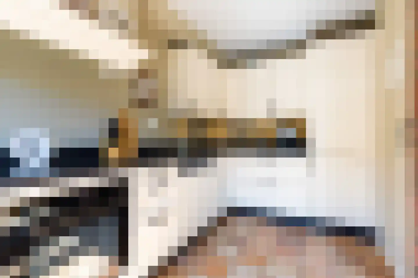 Wilgenlaan 58 Renswoude thumbnail 8
