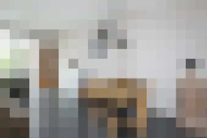 Wilgenlaan 6 Dirksland thumbnail 13