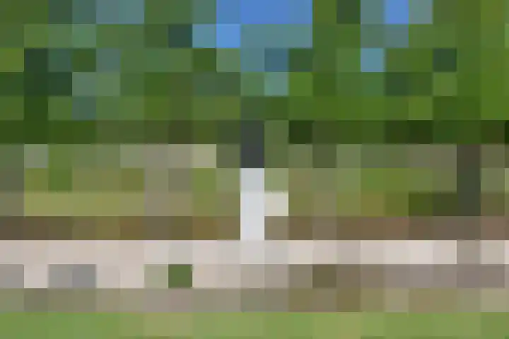 Wilgenlaan 6 Dirksland thumbnail 17
