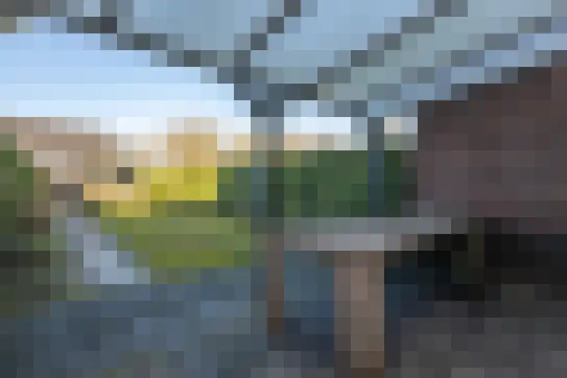 Wilgenlaan 6 Dirksland thumbnail 30