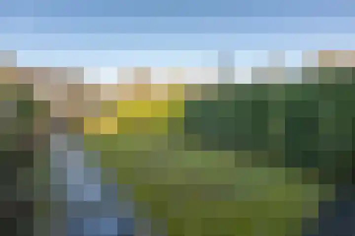 Wilgenlaan 6 Dirksland thumbnail 31