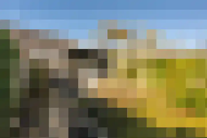 Wilgenlaan 6 Dirksland thumbnail 32