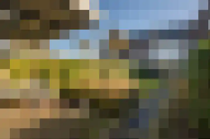 Wilgenlaan 6 Dirksland thumbnail 33
