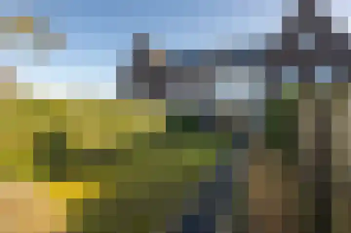 Wilgenlaan 6 Dirksland thumbnail 34