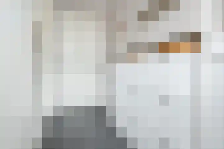 Wilgenlaan 6 Dirksland thumbnail 7