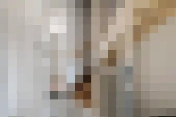 Wilgenlaan 6 Herwijnen thumbnail 30