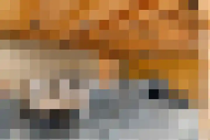 Wilgenlaan 6 Herwijnen thumbnail 38