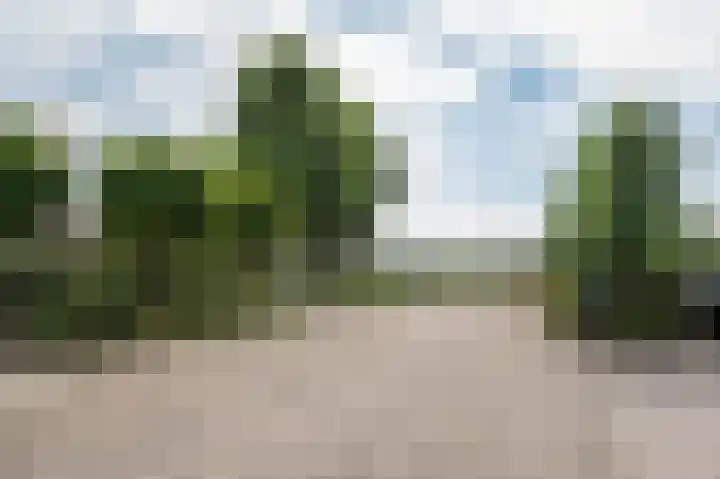 Wilgenlaan 6 Herwijnen thumbnail 43