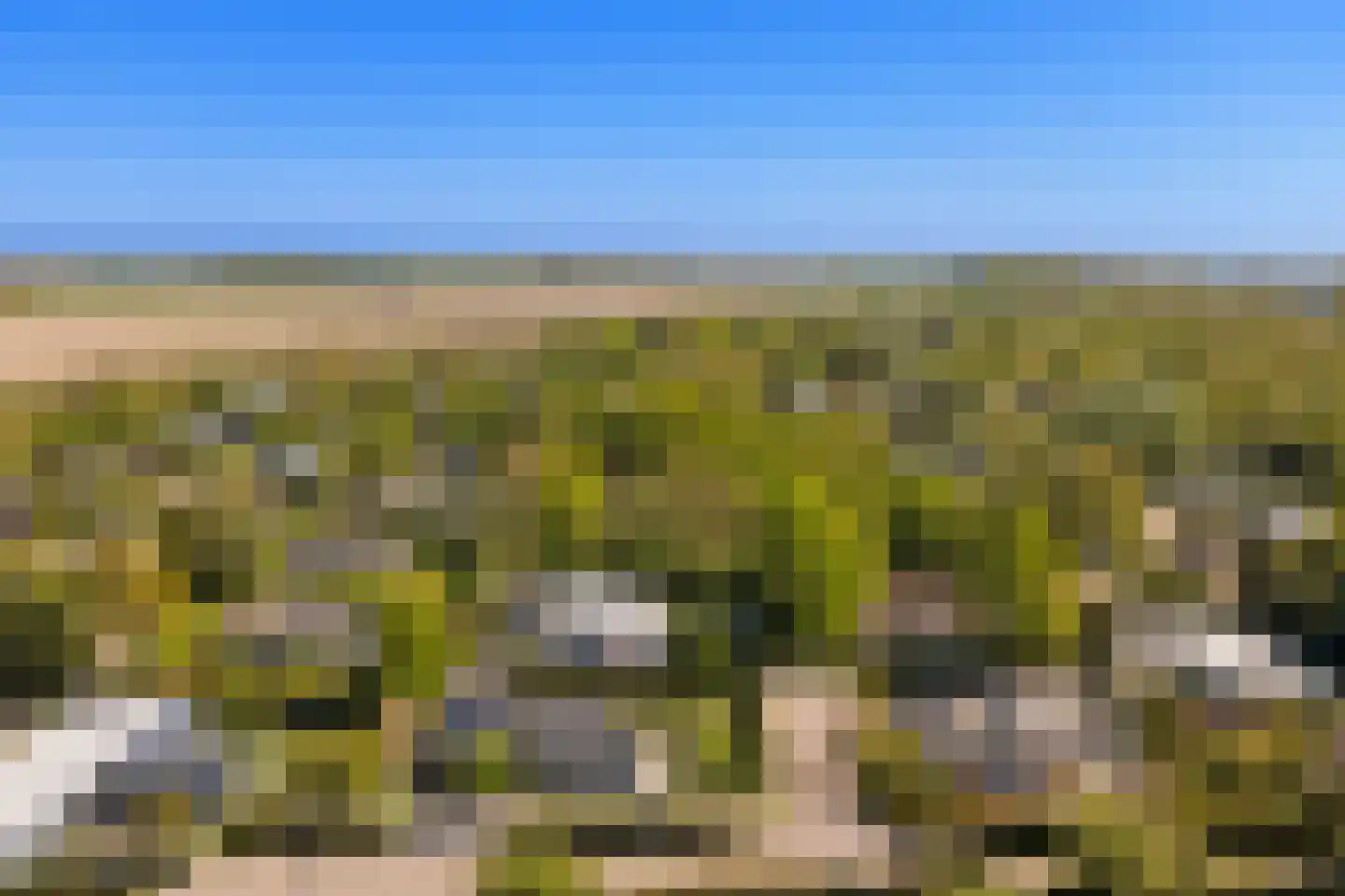 Wilgenlaan 6 Kamperland thumbnail 37