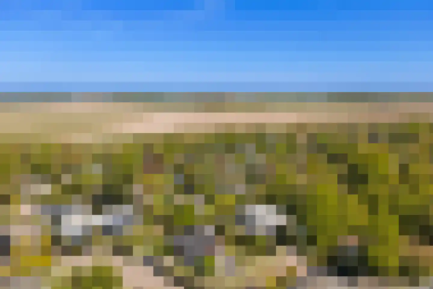Wilgenlaan 6 Kamperland thumbnail 38
