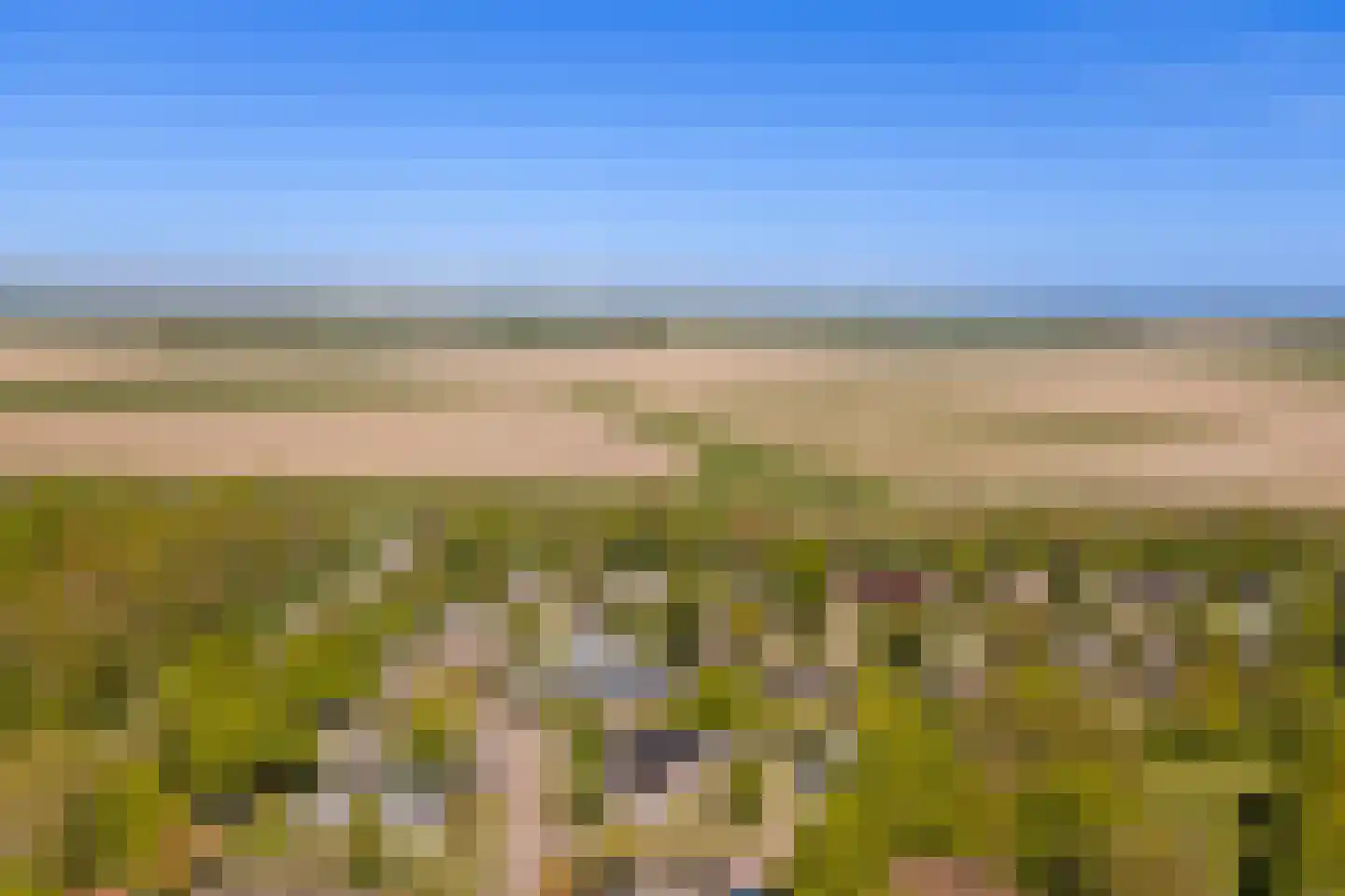 Wilgenlaan 6 Kamperland thumbnail 39