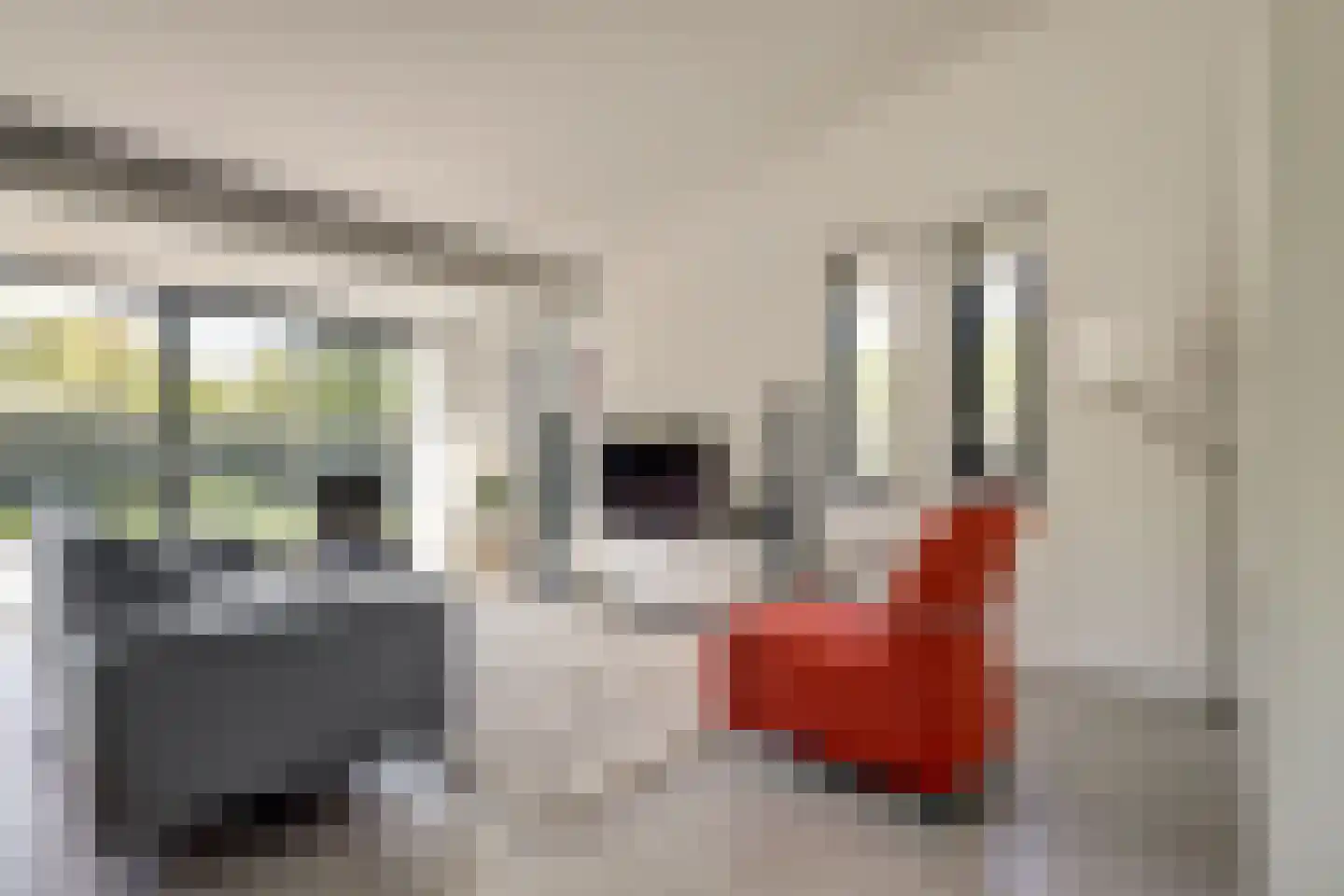Wilgenlaan 6 Kamperland thumbnail 7