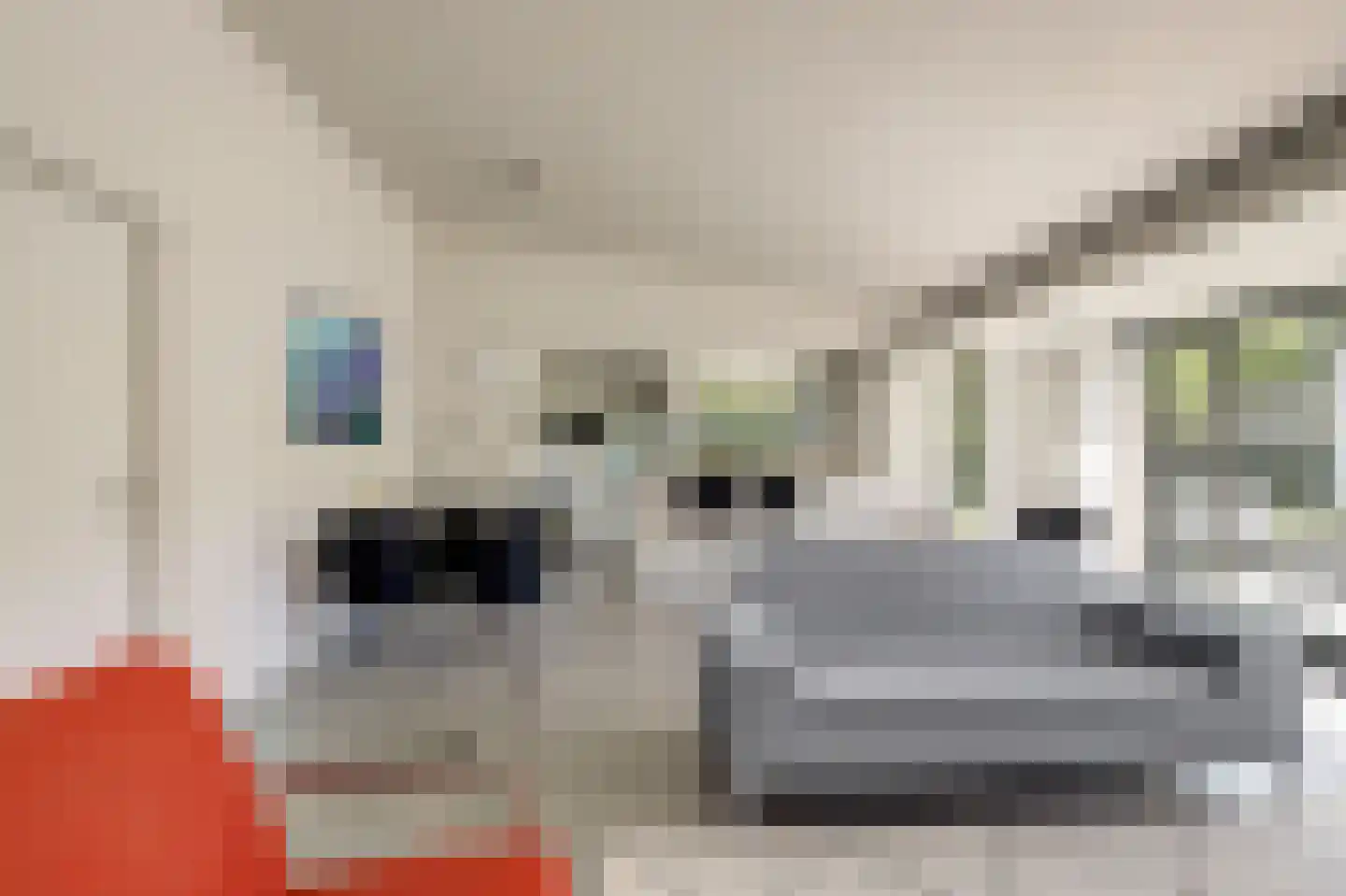 Wilgenlaan 6 Kamperland thumbnail 9