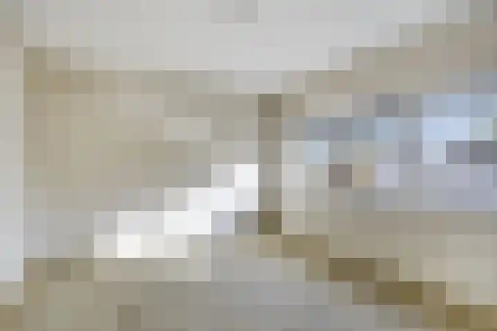Wilgenlaan 6 Zwanenburg thumbnail 13