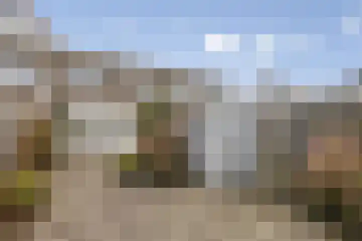 Wilgenlaan 6 Zwanenburg thumbnail 18