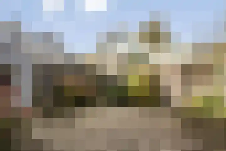 Wilgenlaan 6 Zwanenburg thumbnail 19
