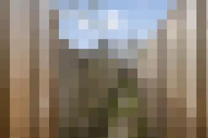 Wilgenlaan 6 Zwanenburg thumbnail 21