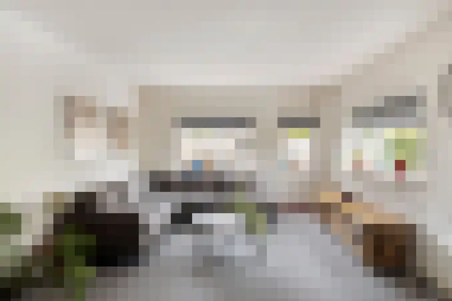 Wilgenlaan 61 Duiven thumbnail 11