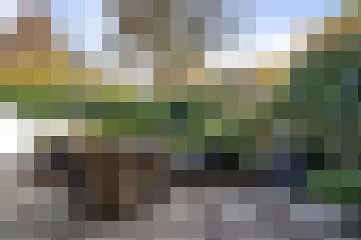 Wilgenlaan 61 Etten-Leur thumbnail 37