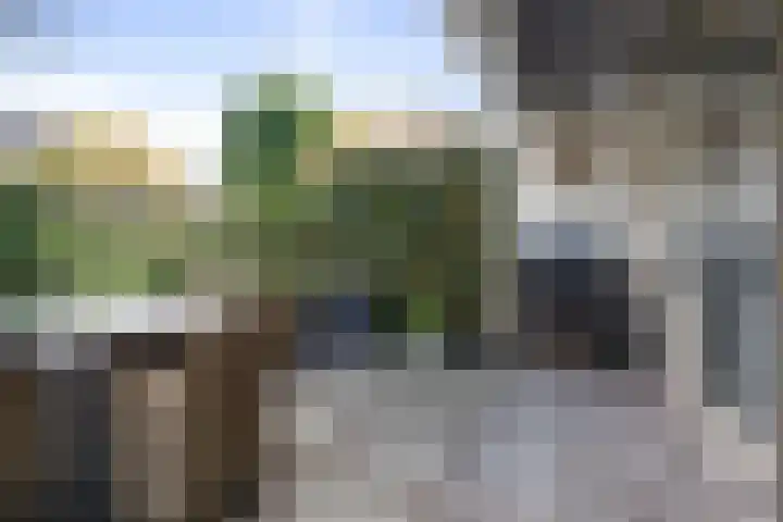 Wilgenlaan 61 Etten-Leur thumbnail 39