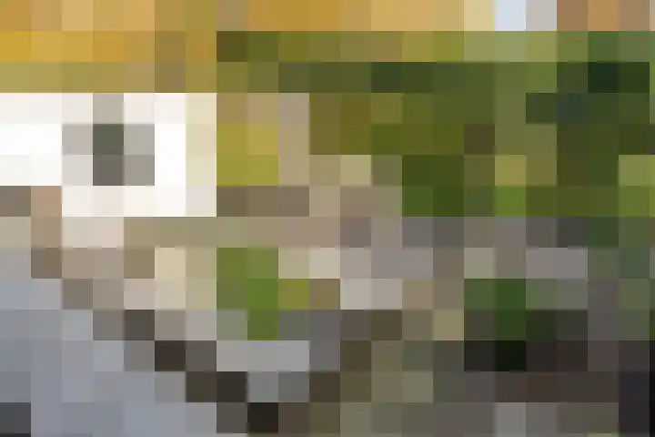 Wilgenlaan 61 Etten-Leur thumbnail 4