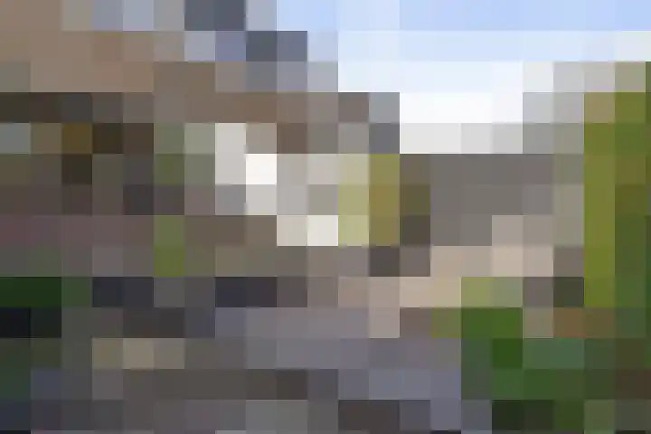 Wilgenlaan 61 Etten-Leur thumbnail 44