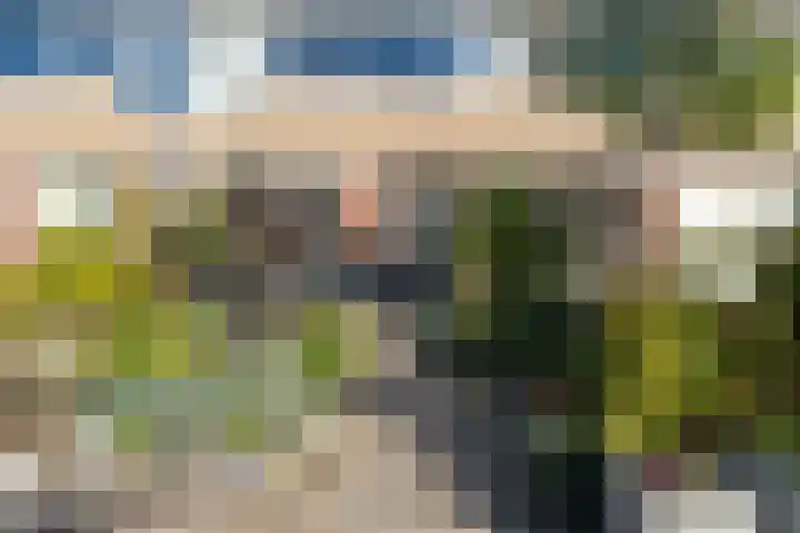 Wilgenlaan 61 Etten-Leur thumbnail 6