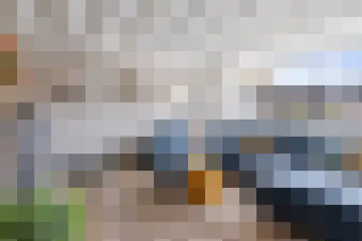 Wilgenlaan 61 Etten-Leur thumbnail 8