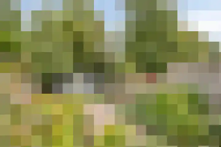 Wilgenlaan 77 Etten-Leur thumbnail 18