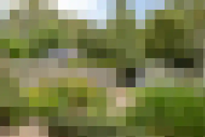 Wilgenlaan 77 Etten-Leur thumbnail 19