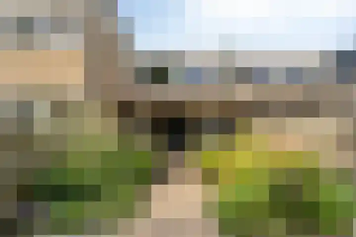 Wilgenlaan 77 Etten-Leur thumbnail 22