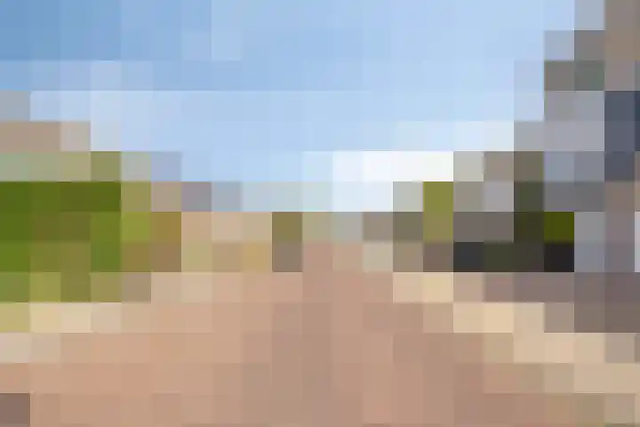 Wilgenlaan 77 Etten-Leur thumbnail 6