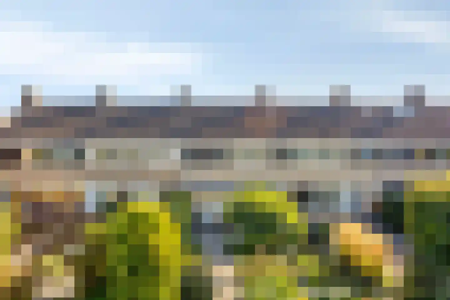 Wilgenlaan 8 Schagen