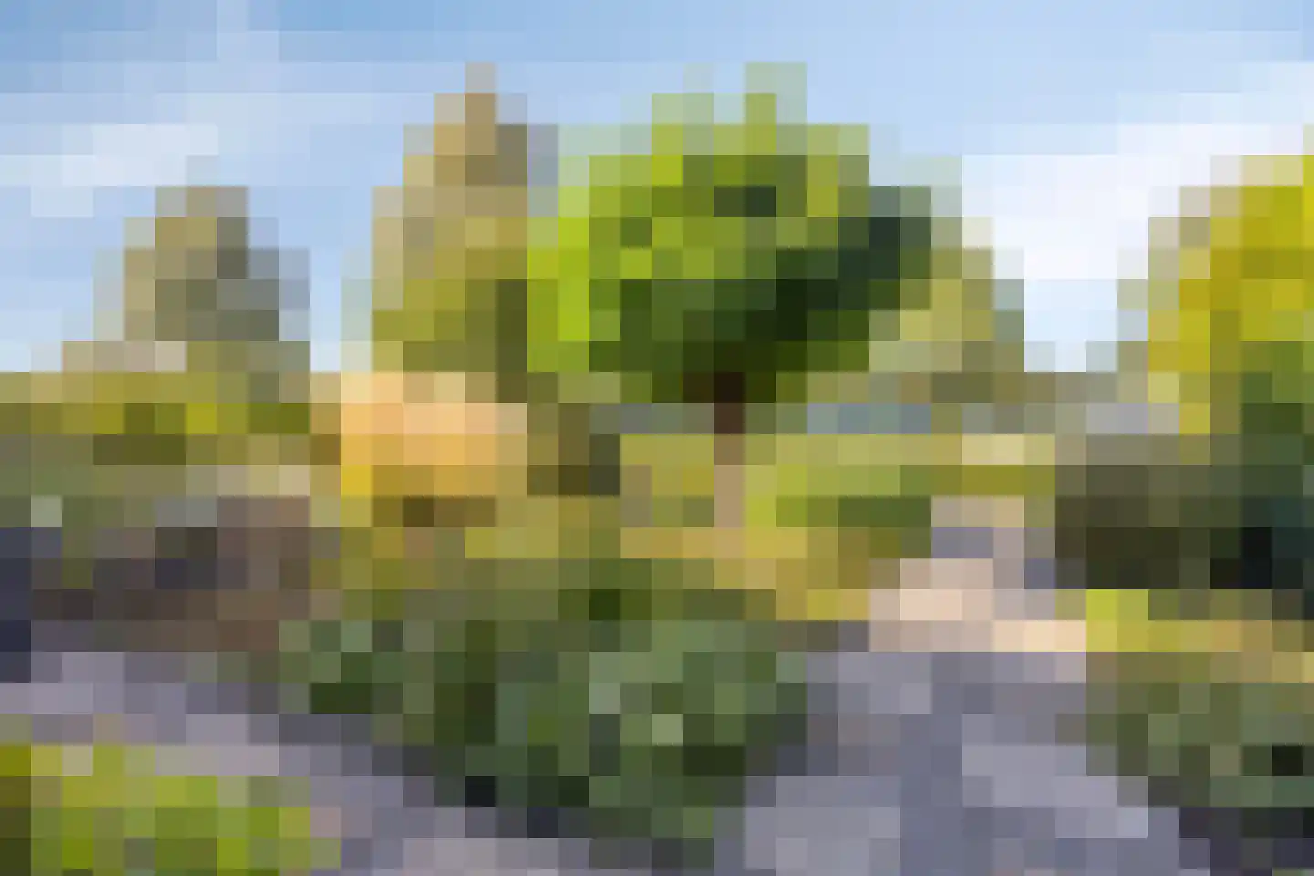 Wilgenlaan 8 Schagen thumbnail 10