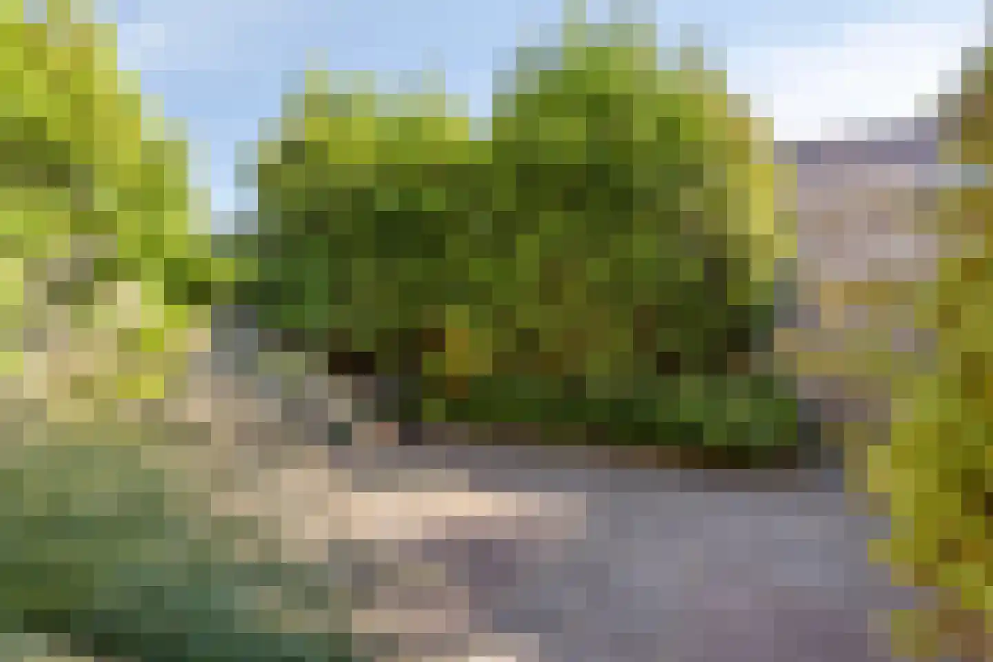 Wilgenlaan 8 Schagen thumbnail 43